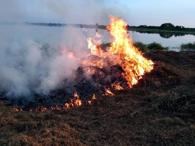 A lots of questions for Panchanama; Farmers burnt the beans stock in anger at Parabhani | पंचनाम्यासाठी प्रश्नांचा भडीमार; रागाच्या भरात शेतकऱ्याने जाळली सोयाबीनची गंजी A lots of questions for Panchanama; Farmers burnt the beans stock in anger at Parabhani | पंचनाम्यासाठी प्रश्नांचा भडीमार; रागाच्या भरात शेतकऱ्याने जाळली सोयाबीनची गंजी