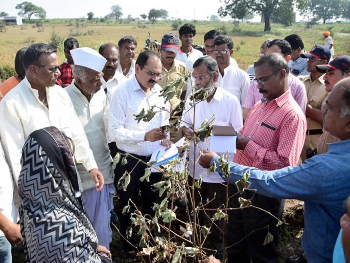 Sir ... all the lost due to rain; Farmer's cry in front of the central squad at Jalana | साहेब...अवकाळीने सर्वच हिरावले; केंद्रीय पथकासमोर शेतकऱ्यांचा टाहो Sir ... all the lost due to rain; Farmer's cry in front of the central squad at Jalana | साहेब...अवकाळीने सर्वच हिरावले; केंद्रीय पथकासमोर शेतकऱ्यांचा टाहो
