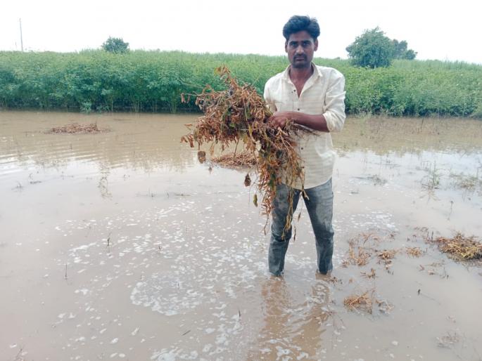 Farmers in distress due to return rains; Soybeans, cotton crops in water | परतीच्या पावसाच्या तडाख्याने शेतकरी संकटात; सोयाबीन, कापूस पिके पाण्यात Farmers in distress due to return rains; Soybeans, cotton crops in water | परतीच्या पावसाच्या तडाख्याने शेतकरी संकटात; सोयाबीन, कापूस पिके पाण्यात