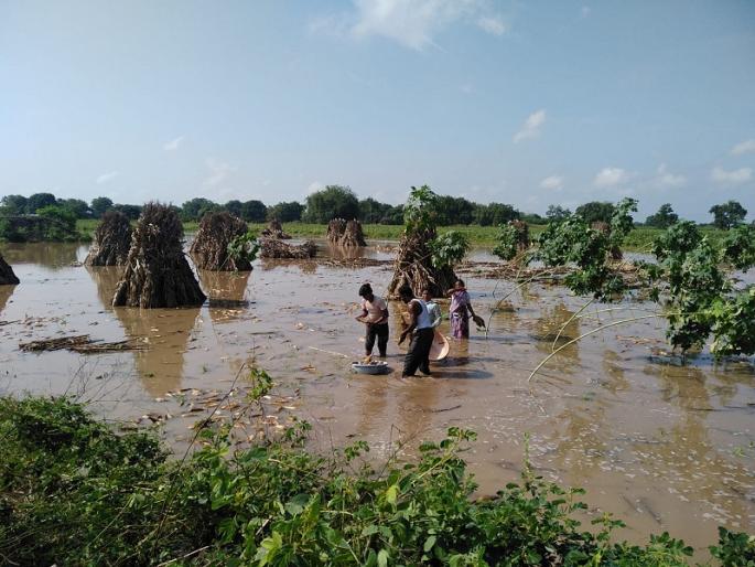 Administrative rule from nine months; Whole Planning collapsed | नऊ महिन्यांपासून प्रशासकीय राजवट; संपूर्ण नियोजन कोलमंडले Administrative rule from nine months; Whole Planning collapsed | नऊ महिन्यांपासून प्रशासकीय राजवट; संपूर्ण नियोजन कोलमंडले