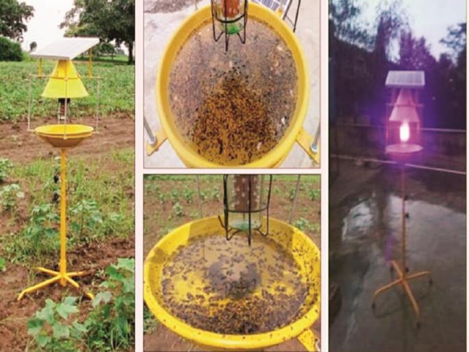 Grassroot Innovator: Solar Light Insect Trap, Preventing Insect on crop | ग्रासरूट इनोव्हेटर : शेतपिकावरील किडींना अटकाव घालतोय सोलर लाईट इन्सेक्ट ट्रॅप Grassroot Innovator: Solar Light Insect Trap, Preventing Insect on crop | ग्रासरूट इनोव्हेटर : शेतपिकावरील किडींना अटकाव घालतोय सोलर लाईट इन्सेक्ट ट्रॅप
