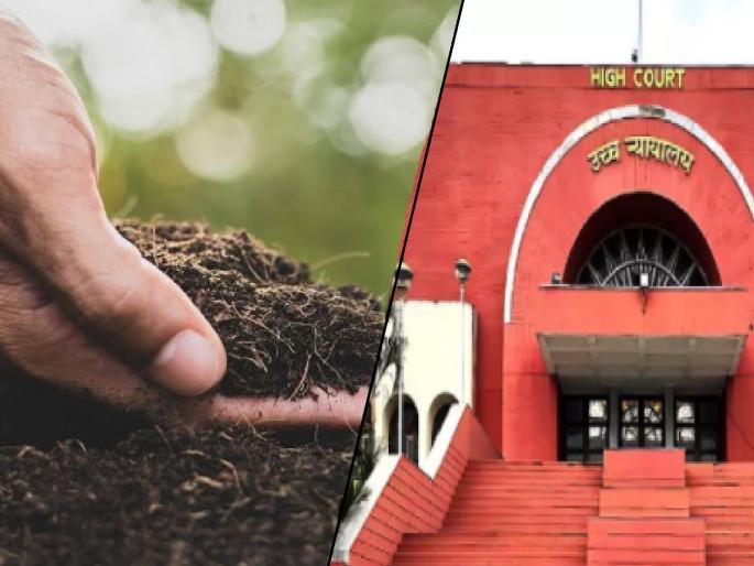 Justice for farmer after 7 years! Crop lost due to bogus seeds, High Court fines 4 companies Rs 50,000 each | शेतकऱ्यास न्याय! कपाशी उगवली नाही; हायकोर्टाचा ४ कंपन्यांना प्रत्येकी ५० हजारांचा दंड Justice for farmer after 7 years! Crop lost due to bogus seeds, High Court fines 4 companies Rs 50,000 each | शेतकऱ्यास न्याय! कपाशी उगवली नाही; हायकोर्टाचा ४ कंपन्यांना प्रत्येकी ५० हजारांचा दंड