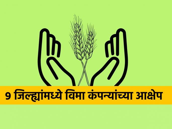 Allotment of insurance advance amount under Pradhan Mantri Crop Bima Yojana starts fastly | प्रधानमंत्री पीक विमा योजनेतील विम्याच्या अग्रीम रक्कमचे वाटप वेगाने सुरु Allotment of insurance advance amount under Pradhan Mantri Crop Bima Yojana starts fastly | प्रधानमंत्री पीक विमा योजनेतील विम्याच्या अग्रीम रक्कमचे वाटप वेगाने सुरु