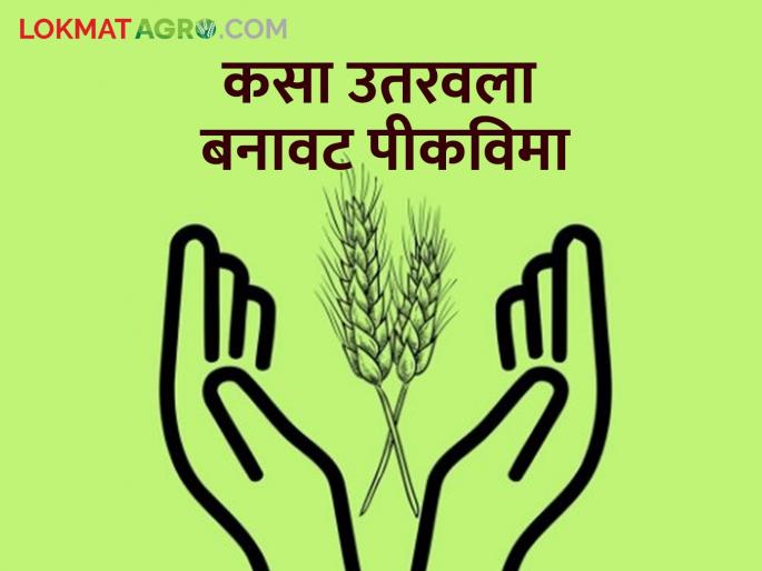 Fake crop insurance was brought down on 48 thousand hectares in the state | राज्यात ४८ हजार हेक्टरवर उतरवला बनावट पीक विमा Fake crop insurance was brought down on 48 thousand hectares in the state | राज्यात ४८ हजार हेक्टरवर उतरवला बनावट पीक विमा