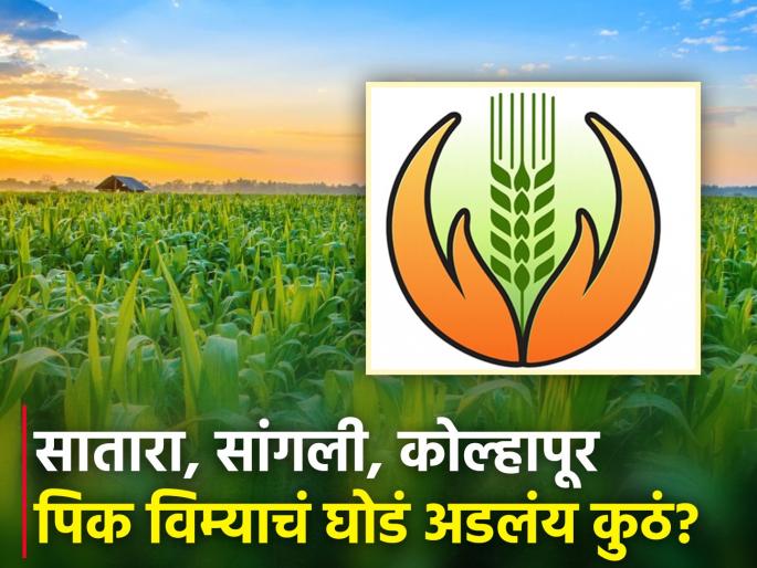 Difficulty in crop insurance 'Agrim' due to objection by insurance companies; What are the objections? | विमा कंपनींच्या हरकतीमुळे पीकविमा 'अग्रिम'ला अडचण; काय आहेत हरकती? Difficulty in crop insurance 'Agrim' due to objection by insurance companies; What are the objections? | विमा कंपनींच्या हरकतीमुळे पीकविमा 'अग्रिम'ला अडचण; काय आहेत हरकती?