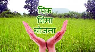 Prime Minister's Crop Insurance Scheme is applicable for rabi season! | रब्बी हंगामासाठी प्रधानमंत्री पीक विमा योजना लागू! Prime Minister's Crop Insurance Scheme is applicable for rabi season! | रब्बी हंगामासाठी प्रधानमंत्री पीक विमा योजना लागू!