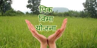 Solapur: Farmers, to avoid losses, participate in crop insurance scheme, urges agriculture officials | Solapur: शेतकऱ्यांनो, नुकसान टाळायचे असेल तर पीक विमा योजनेत सहभागी व्हा, कृषी अधिकाऱ्यांचे आवाहन Solapur: Farmers, to avoid losses, participate in crop insurance scheme, urges agriculture officials | Solapur: शेतकऱ्यांनो, नुकसान टाळायचे असेल तर पीक विमा योजनेत सहभागी व्हा, कृषी अधिकाऱ्यांचे आवाहन