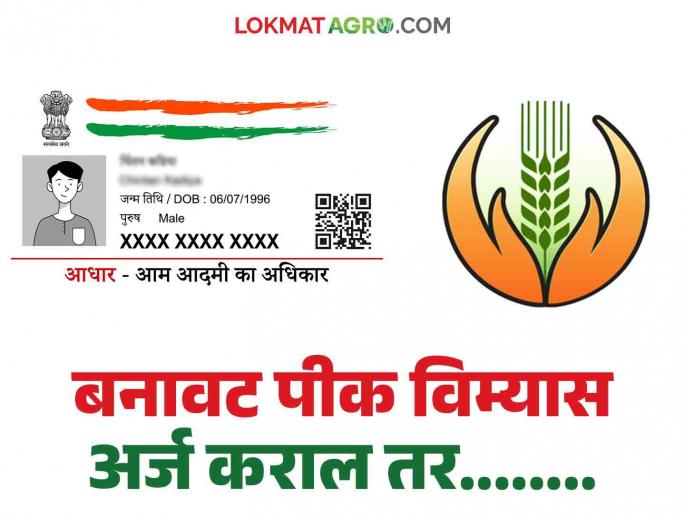 Bogus Pik Vima:.....So Aadhaar card will be blocked! What is the matter? Read in detail | Bogus Pik Vima :शेतकऱ्यांनो! 'ही' चूक करू नका, अन्यथा महाडीबीटी करेल आधार कार्ड ब्लॉक! वाचा सविस्तर