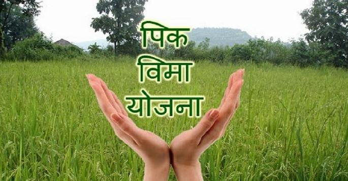 Application for crop insurance of 71 lakh 93 thousand farmers in the state | राज्यात ७१ लाख ९३ हजार शेतकऱ्यांचे पीक विम्यासाठी अर्ज Application for crop insurance of 71 lakh 93 thousand farmers in the state | राज्यात ७१ लाख ९३ हजार शेतकऱ्यांचे पीक विम्यासाठी अर्ज