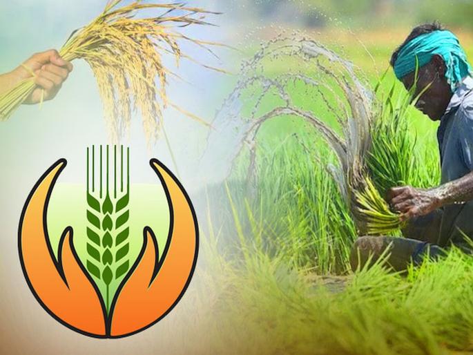 Weather-based insurance scheme to be launched in India | भारतात हवामान आधारित विमा योजना सुरू होणार