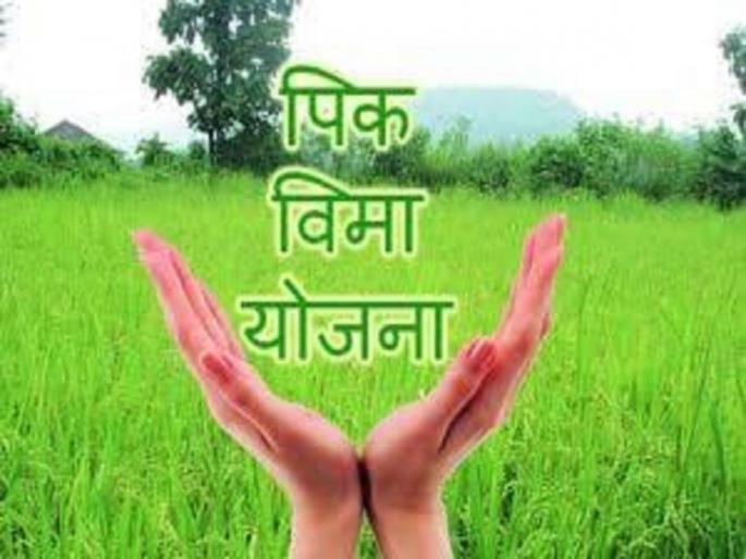 Farmers of 321 villages in the district will get 25 percent insurance amount | जिल्ह्यातील ३२१ गावांतील शेतकऱ्यांना मिळणार २५ टक्के विम्याची रक्कम Farmers of 321 villages in the district will get 25 percent insurance amount | जिल्ह्यातील ३२१ गावांतील शेतकऱ्यांना मिळणार २५ टक्के विम्याची रक्कम