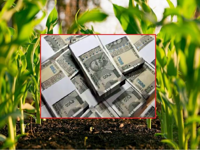 One such scam; A scam to collect crop insurance worth 64 crores by paying only 274 rupees | एक असाही घोटाळा; केवळ २७४ रूपये भरून ६४ कोटींचा पीकविमा उचलण्याचा डाव One such scam; A scam to collect crop insurance worth 64 crores by paying only 274 rupees | एक असाही घोटाळा; केवळ २७४ रूपये भरून ६४ कोटींचा पीकविमा उचलण्याचा डाव