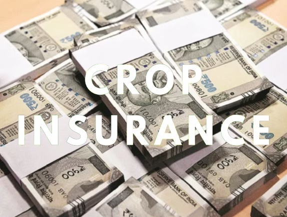 Isn't this a joke with farmers; Crop insurance company canceled 91 thousand 181 complaints | शेतकऱ्यांची ही चेष्टा नव्हे का; पीकविमा कंपनीने ९१ हजार १८१ तक्रारी केल्या रद्द Isn't this a joke with farmers; Crop insurance company canceled 91 thousand 181 complaints | शेतकऱ्यांची ही चेष्टा नव्हे का; पीकविमा कंपनीने ९१ हजार १८१ तक्रारी केल्या रद्द