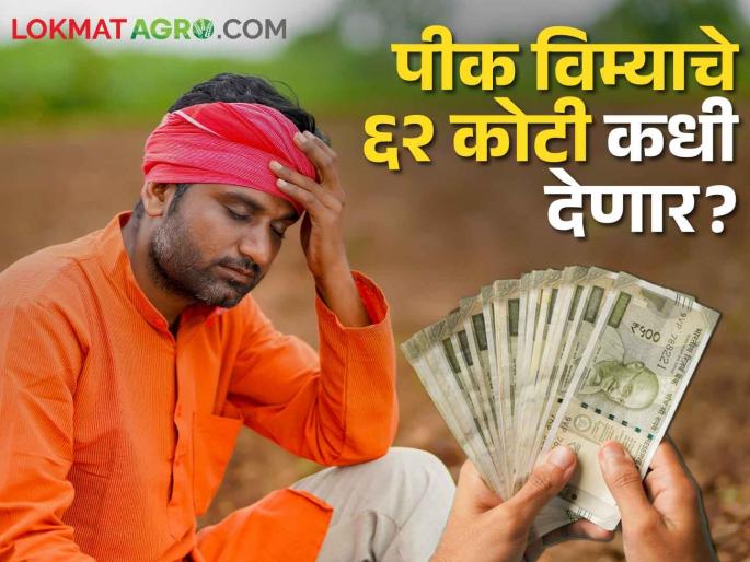 Crop Insurance When will 62 crores of crop insurance of 1 lakh 5 thousand farmers be paid? | Crop Insurance १ लाख ५ हजार शेतकऱ्यांचे पीक विम्याचे ६२ कोटी कधी देणार?