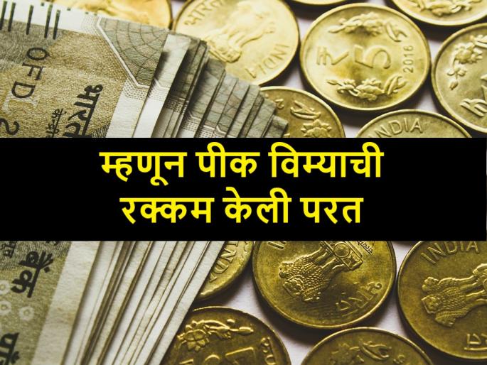 PiK Vima:Why bhandara farmer returned the cheque of crop insurance to government | Pik Vima: अबब, इतका पीक विमा मिळाल्यावर शेतकऱ्याने रक्कम केली परत, जाणून घ्या PiK Vima:Why bhandara farmer returned the cheque of crop insurance to government | Pik Vima: अबब, इतका पीक विमा मिळाल्यावर शेतकऱ्याने रक्कम केली परत, जाणून घ्या