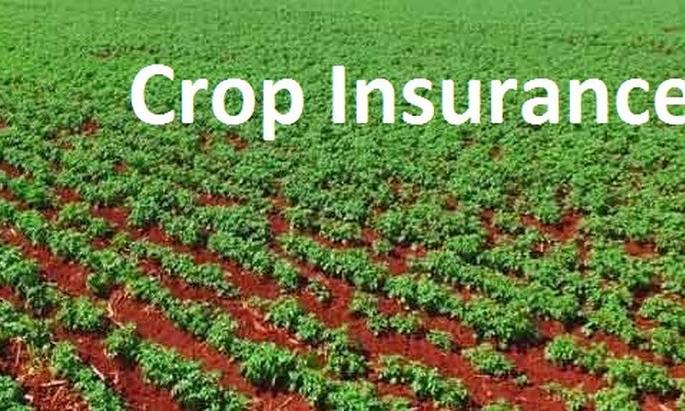 Washim District does not get crop insurance company for Rabbi | रब्बीसाठी वाशिम जिल्ह्यास पीकविमा कंपनी मिळेना