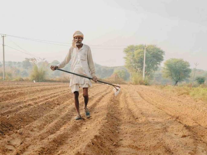 Rejecting the loss claims of the farmers the insurance companies are making a fortune | शेतकरी कंगाल, कंपन्या मालामाल !