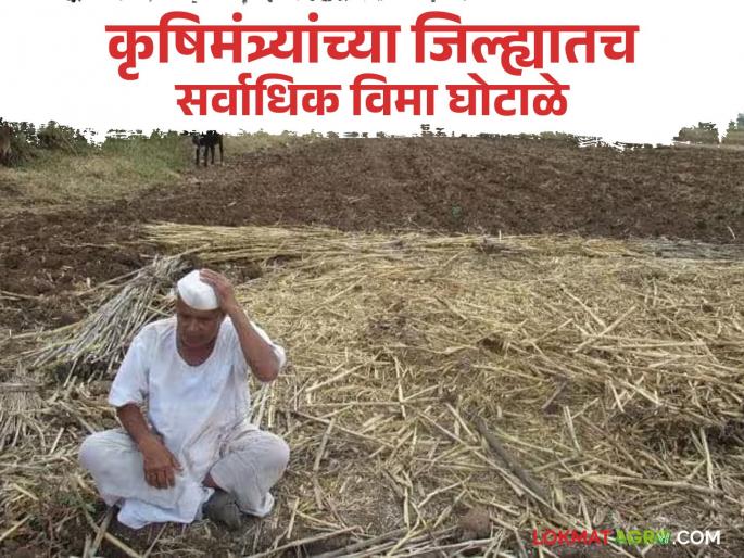 Crop Insurance: Crop insurance paid by some people by showing government land; No action even when the names are in front | Crop Insurance : शासकीय जमीन दाखवून काही लोकांनी भरला पीक विमा; नावे समोर असतानाही कारवाई शून्य Crop Insurance: Crop insurance paid by some people by showing government land; No action even when the names are in front | Crop Insurance : शासकीय जमीन दाखवून काही लोकांनी भरला पीक विमा; नावे समोर असतानाही कारवाई शून्य