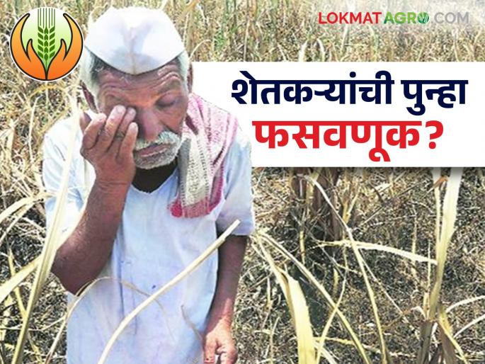 latest news Pik Vima yojana: Crop insurance company cheated again Farmers? Kharif Crop insurance rejected due to minor reasons Read in detail | Pik Vima Yojana: शेतकऱ्यांची पुन्हा फसवणूक? किरकोळ कारणांनी पीकविमा नाकारला वाचा सविस्तर