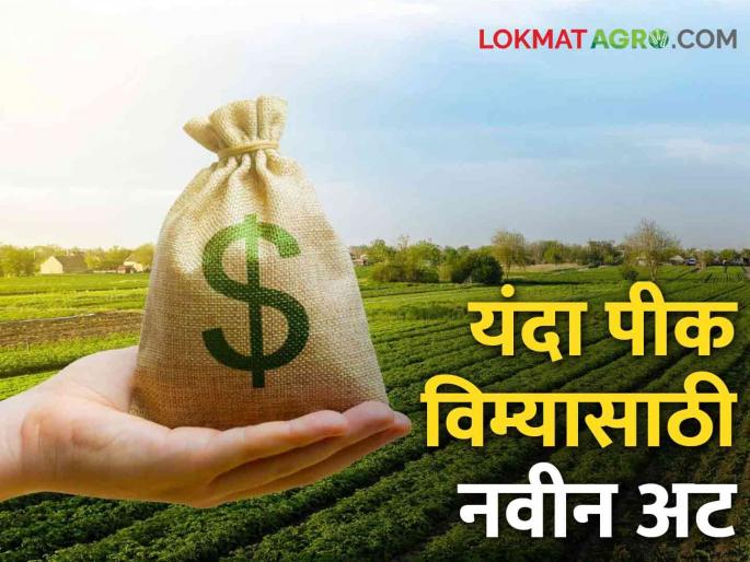 Kharif Crop Insurance Government imposes new conditions for crop insurance for farmers; Farmers in trouble | Crop Insurance New Rules पीक विम्यासाठी शासनाकडून शेतकऱ्यांसाठी नवीन अट लागू; शेतकरी अडचणीत Kharif Crop Insurance Government imposes new conditions for crop insurance for farmers; Farmers in trouble | Crop Insurance New Rules पीक विम्यासाठी शासनाकडून शेतकऱ्यांसाठी नवीन अट लागू; शेतकरी अडचणीत