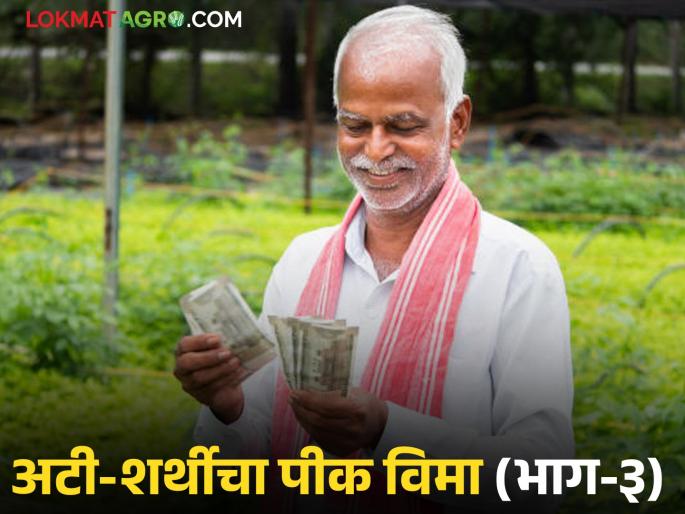 Crop Insurance: Unable to get range in the field, difficulty in e-crop inspection, how to get insurance? | Crop Insurance : शेतात रेंज मिळेना, ई पीक पाहणीची अडचण, विमा काढायचा कसा? Crop Insurance: Unable to get range in the field, difficulty in e-crop inspection, how to get insurance? | Crop Insurance : शेतात रेंज मिळेना, ई पीक पाहणीची अडचण, विमा काढायचा कसा?