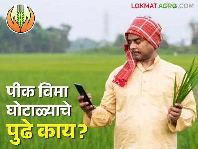 Crop Insurance Scam: Crop insurance scam became famous in the winter session, will crimes be registered now? | Crop Inurance Scam : पीक विमा घोटाळा हिवाळी अधिवेशनात गाजला, आता तरी गुन्हे दाखल होणार का ? Crop Insurance Scam: Crop insurance scam became famous in the winter session, will crimes be registered now? | Crop Inurance Scam : पीक विमा घोटाळा हिवाळी अधिवेशनात गाजला, आता तरी गुन्हे दाखल होणार का ?