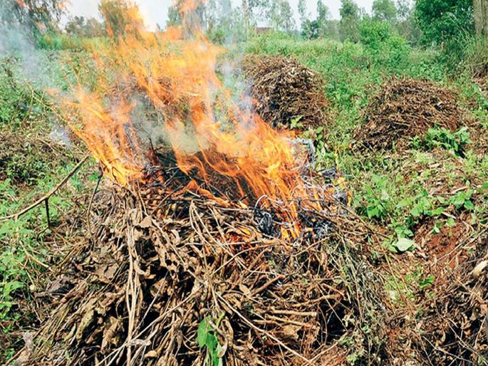 Crop insurance found in crisis in 3 districts of the state! | राज्यातील १० जिल्ह्यांमध्ये पीक विमा सापडला संकटात! Crop insurance found in crisis in 3 districts of the state! | राज्यातील १० जिल्ह्यांमध्ये पीक विमा सापडला संकटात!