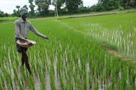 District Bank's kerachi basket on the order of the peak loan regime | पीक कर्ज शासनाच्या आदेशाला जिल्हा बँकेची केराची टोपली District Bank's kerachi basket on the order of the peak loan regime | पीक कर्ज शासनाच्या आदेशाला जिल्हा बँकेची केराची टोपली