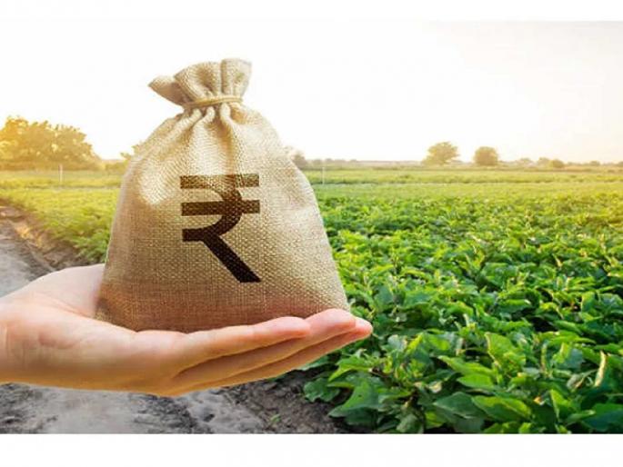 Target 1500 crores, allocation only 450 crores; Loan disbursements are slow; Farmers suffer | उद्दिष्ट १५०० कोटींचे, वाटप केवळ ४५० कोटी; कर्जवाटप संथगतीने; शेतकऱ्यांचे होतात हाल Target 1500 crores, allocation only 450 crores; Loan disbursements are slow; Farmers suffer | उद्दिष्ट १५०० कोटींचे, वाटप केवळ ४५० कोटी; कर्जवाटप संथगतीने; शेतकऱ्यांचे होतात हाल
