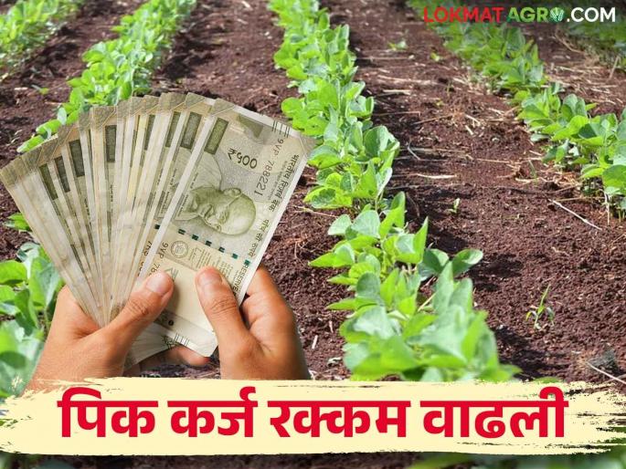 This year the crop loan amount increased; How much loan will be given to which crop? | Crop Loan यंदा पीककर्जाची रक्कम वाढली; कोणत्या पिकाला मिळणार किती कर्ज? This year the crop loan amount increased; How much loan will be given to which crop? | Crop Loan यंदा पीककर्जाची रक्कम वाढली; कोणत्या पिकाला मिळणार किती कर्ज?