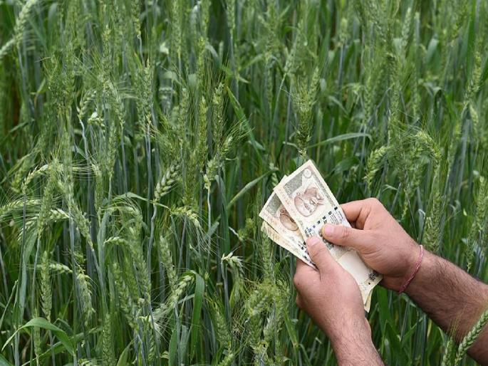 Aadhaar, PAN card given, now new rules for crop loans; Banks keep waiting farmers | आधार, पॅन कार्ड दिले, आता पीककर्जासाठी नवीनच नियम; शेतकरी झिझवतायत बँकांचे उंबरठे Aadhaar, PAN card given, now new rules for crop loans; Banks keep waiting farmers | आधार, पॅन कार्ड दिले, आता पीककर्जासाठी नवीनच नियम; शेतकरी झिझवतायत बँकांचे उंबरठे