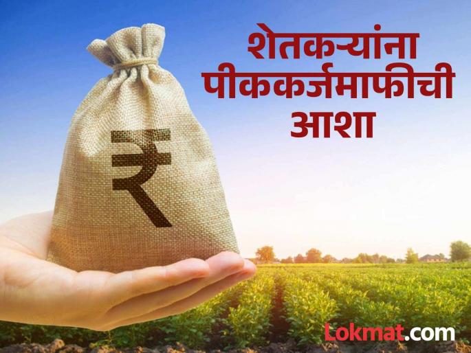 Hope of loan waiver; Farmers turn to paying crop loans; Rare crowd in banks | शेतकऱ्यांना कर्जमाफीची आशा; पीककर्ज भरण्यास अत्यल्प प्रतिसाद, बँकांमध्ये तुरळक गर्दी Hope of loan waiver; Farmers turn to paying crop loans; Rare crowd in banks | शेतकऱ्यांना कर्जमाफीची आशा; पीककर्ज भरण्यास अत्यल्प प्रतिसाद, बँकांमध्ये तुरळक गर्दी