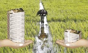 Akola district allocated crop loan to 10 thousand farmers in a month | अकोला जिल्ह्यात महिनाभरात केवळ १० हजारांवर शेतकऱ्यांना पीक कर्जाचे वाटप