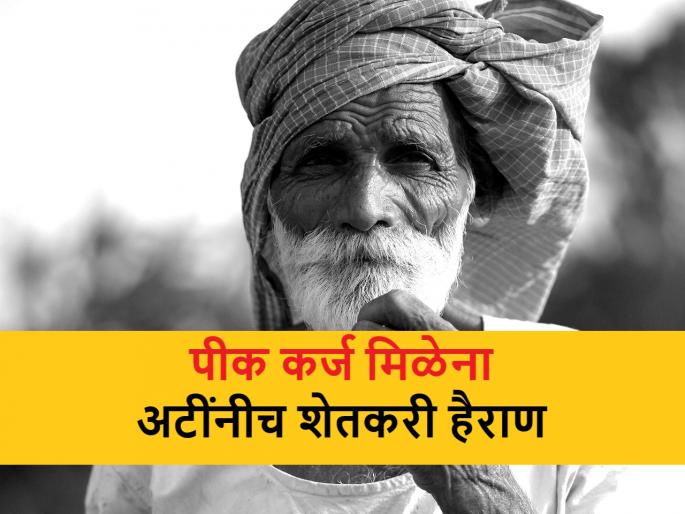 Crop Loan: Farmers not getting crop loans and crop insurance due to loan disbursement conditions | Crop Loan: शेतकऱ्यांना मिळेना पीक कर्ज आणि पीक विमा; कर्जवाटपांच्या अटींचा फटका Crop Loan: Farmers not getting crop loans and crop insurance due to loan disbursement conditions | Crop Loan: शेतकऱ्यांना मिळेना पीक कर्ज आणि पीक विमा; कर्जवाटपांच्या अटींचा फटका