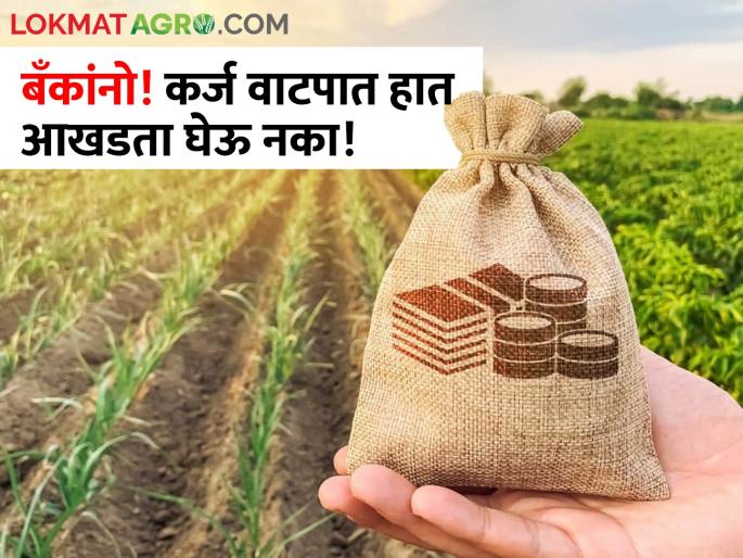 Latest News Don't get involved in loan distribution, administration appeals to banks | कर्ज वाटपात हात आखडता घेऊ नका, बँकांना प्रशासनाचे आवाहन  