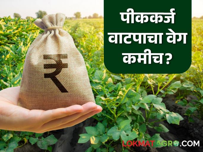 latest news Kharif Crop Loan: Kharif season is halfway over… Farmers continue to beg for loans Read in detail | Kharif Crop Loan : खरीप हंगाम अर्ध्यावर…शेतकऱ्यांची कर्जासाठी वणवण सुरुच वाचा सविस्तर