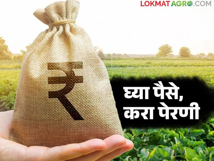 States agricultural credit supply doubles in five years; Farmers debt cycle will continue | राज्याच्या कृषी कर्ज पुरवठ्यात पाच वर्षांत दुप्पट वाढ; शेतकऱ्यांचे कर्जचक्र कायम राहणार