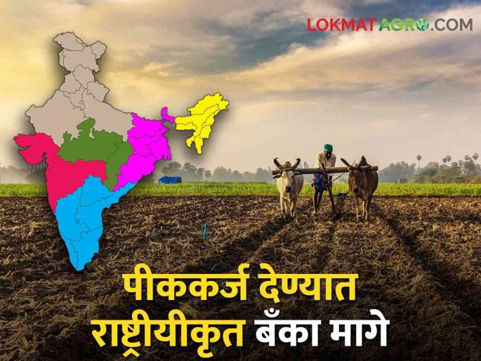 Crop Loan Nationalized banks cant help in giving crop loans to farmers | Crop Loan शेतकऱ्यांना पीककर्ज देण्यात राष्ट्रीयीकृत बँकांचा हात आखडता Crop Loan Nationalized banks cant help in giving crop loans to farmers | Crop Loan शेतकऱ्यांना पीककर्ज देण्यात राष्ट्रीयीकृत बँकांचा हात आखडता