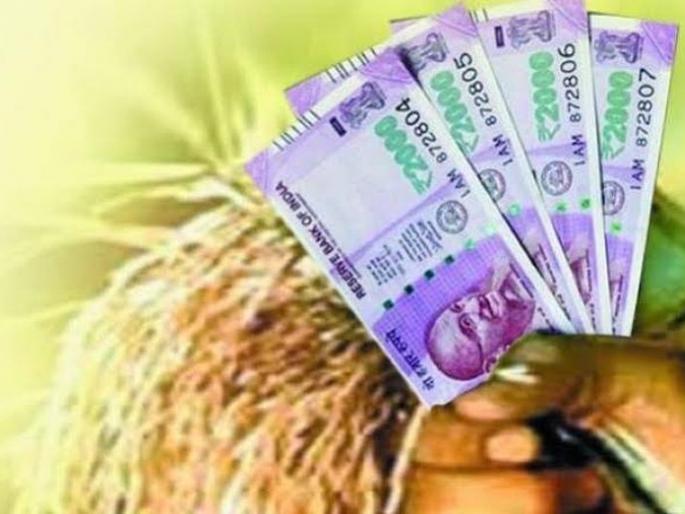 Crop credit figures did not move forward due to weak banks | राष्ट्रीय अन् खासगी बँकांच्या आखडत्या हातामुळे पीक कर्जाचा आकडा पुढे सरकेना Crop credit figures did not move forward due to weak banks | राष्ट्रीय अन् खासगी बँकांच्या आखडत्या हातामुळे पीक कर्जाचा आकडा पुढे सरकेना