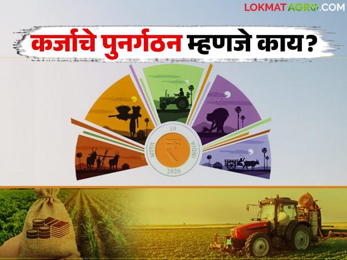 What is crop loan restructuring? Will the restructuring scheme really benefit to farmers? | पीक कर्जाचे पुनर्गठन म्हणजे काय? पुनर्गठन योजनेचा शेतकऱ्यांना नक्की फायदा होणार का?