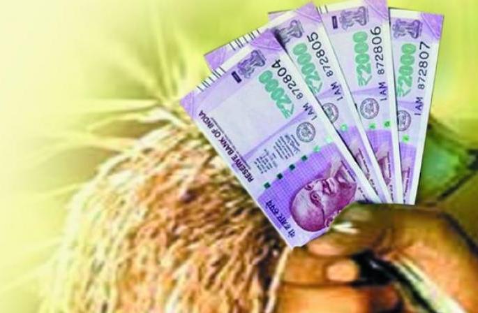 Double crisis on Baliraja: overpower on the one hand, money on all the villages of Jalgaon district on the money | बळीराजावर दुहेरी संकट : एकीकडे अतिपाऊस, दुसरीकडे जळगाव जिल्ह्यातील सर्व गावातील पैसेवारी ५० पैशांच्यावर