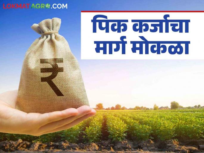 Pik Karja : The path to crop loans has been cleared; Loans will be available on consent letter as before | Pik Karja : पीक कर्जाचा मार्ग झाला मोकळा; पूर्वीप्रमाणेच संमतीपत्रावर मिळणार कर्ज Pik Karja : The path to crop loans has been cleared; Loans will be available on consent letter as before | Pik Karja : पीक कर्जाचा मार्ग झाला मोकळा; पूर्वीप्रमाणेच संमतीपत्रावर मिळणार कर्ज