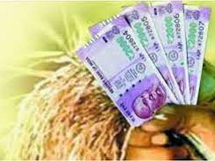 Half of the kharif season; 17,000 farmers waiting for crop loan | खरीप हंगाम निम्म्यावर; १७ हजार शेतकरी पीक कर्जाच्या प्रतीक्षेत Half of the kharif season; 17,000 farmers waiting for crop loan | खरीप हंगाम निम्म्यावर; १७ हजार शेतकरी पीक कर्जाच्या प्रतीक्षेत