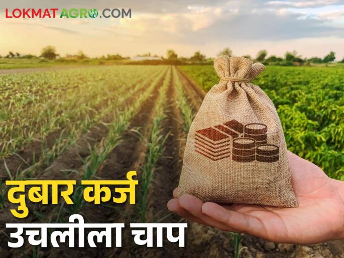 Account holders who take crop loan from two or three places in the same area will face pressure | Crop Loan एकाच क्षेत्रावर दोन-तीन ठिकाणांहून पीक कर्ज काढणाऱ्या खातेदारांना बसणार चाप