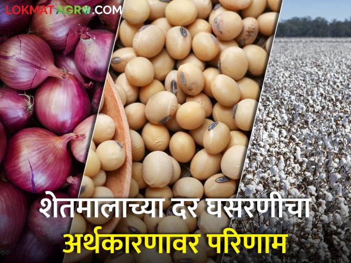 Latest News Effect of fall in agricultural prices on economy low price onion soyabin | कांदा, सोयाबीन, कापूस पिकाला बाजारभाव नाही, शेतकऱ्यांचे अर्थकारण बिघडले Latest News Effect of fall in agricultural prices on economy low price onion soyabin | कांदा, सोयाबीन, कापूस पिकाला बाजारभाव नाही, शेतकऱ्यांचे अर्थकारण बिघडले