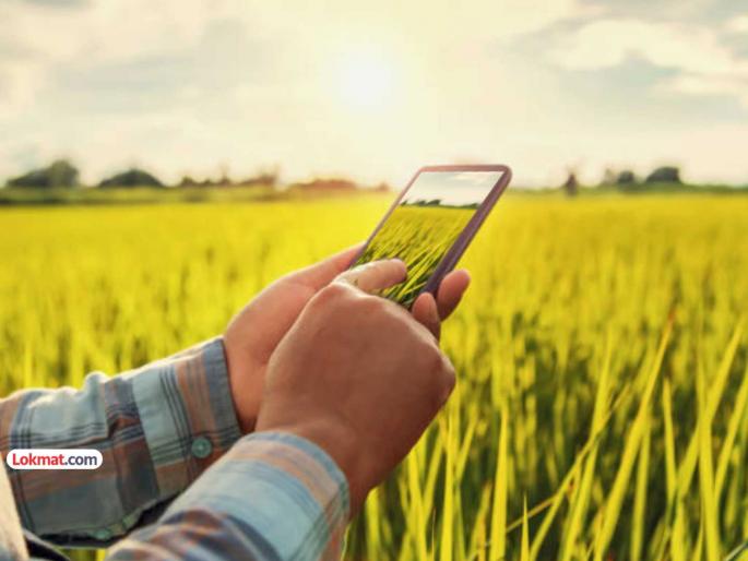 Take photos of crops within 20 meters, only then will e-crop registration be possible | पिकांचा २० मीटरच्या आतील फोटो काढा, तरच ई-पीक नोंदणी; डिजिटल क्रॉप सर्व्हे अॅपद्वारे नवी अट Take photos of crops within 20 meters, only then will e-crop registration be possible | पिकांचा २० मीटरच्या आतील फोटो काढा, तरच ई-पीक नोंदणी; डिजिटल क्रॉप सर्व्हे अॅपद्वारे नवी अट