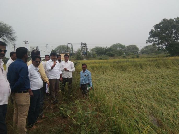 In Nagpur division, 99 percent of the panchanamas were completed: Damage to 1,76,573.81 hectares above | नागपूर विभागात ९९ टक्के पंचनामे पूर्ण : १, ७६,५७३.८१ हेक्टरवर नुकसान