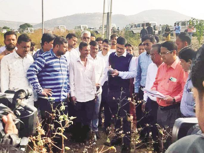 Rapid review of drought monitoring; The central team returned after inspecting four villages within 50 minutes | दुष्काळ पाहणीचा वेगवान आढावा; ५० मिनिटांत चार गावांची पाहणी करून परतले केंद्रीय पथक Rapid review of drought monitoring; The central team returned after inspecting four villages within 50 minutes | दुष्काळ पाहणीचा वेगवान आढावा; ५० मिनिटांत चार गावांची पाहणी करून परतले केंद्रीय पथक