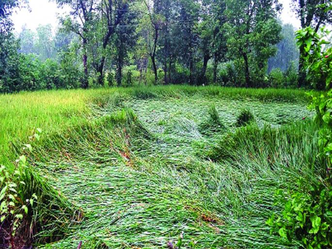 Insufficient amount of compensation in Mahad | महाडमध्ये नुकसानीपेक्षा भरपाई रक्कम अपुरी Insufficient amount of compensation in Mahad | महाडमध्ये नुकसानीपेक्षा भरपाई रक्कम अपुरी