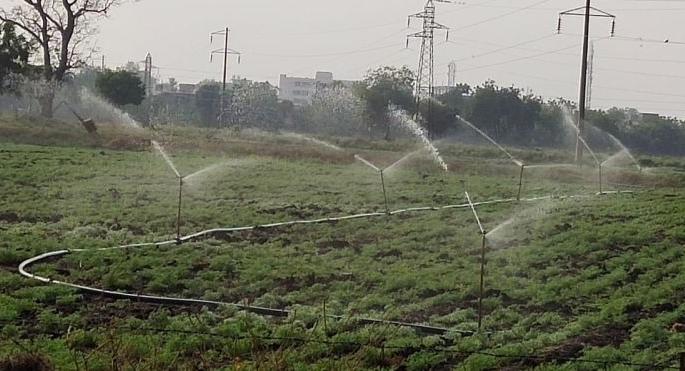 Rabi production will also decline; Gram crops grow, threaten wheat crop | रब्बीचेही उत्पादन घटणार; हरभरा पिकांची वाढ खुंटली, गहू पिकालाही धोका Rabi production will also decline; Gram crops grow, threaten wheat crop | रब्बीचेही उत्पादन घटणार; हरभरा पिकांची वाढ खुंटली, गहू पिकालाही धोका